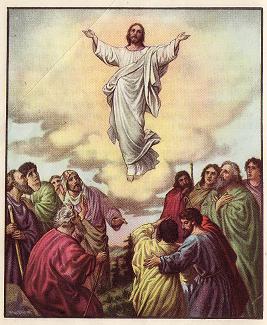 The Ascension of the Lord